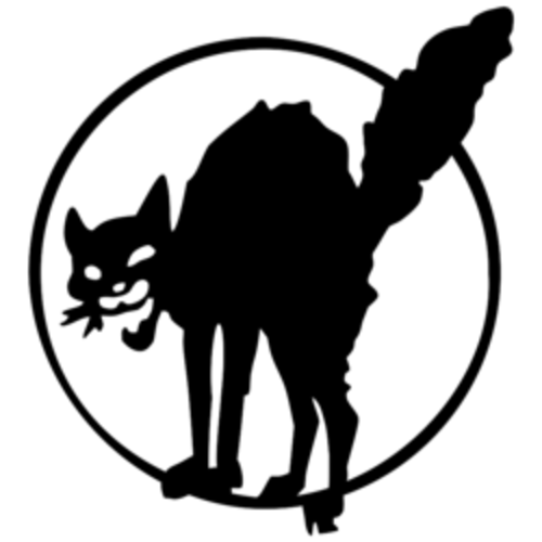 Bildergebnis für schwarze katze anarchie